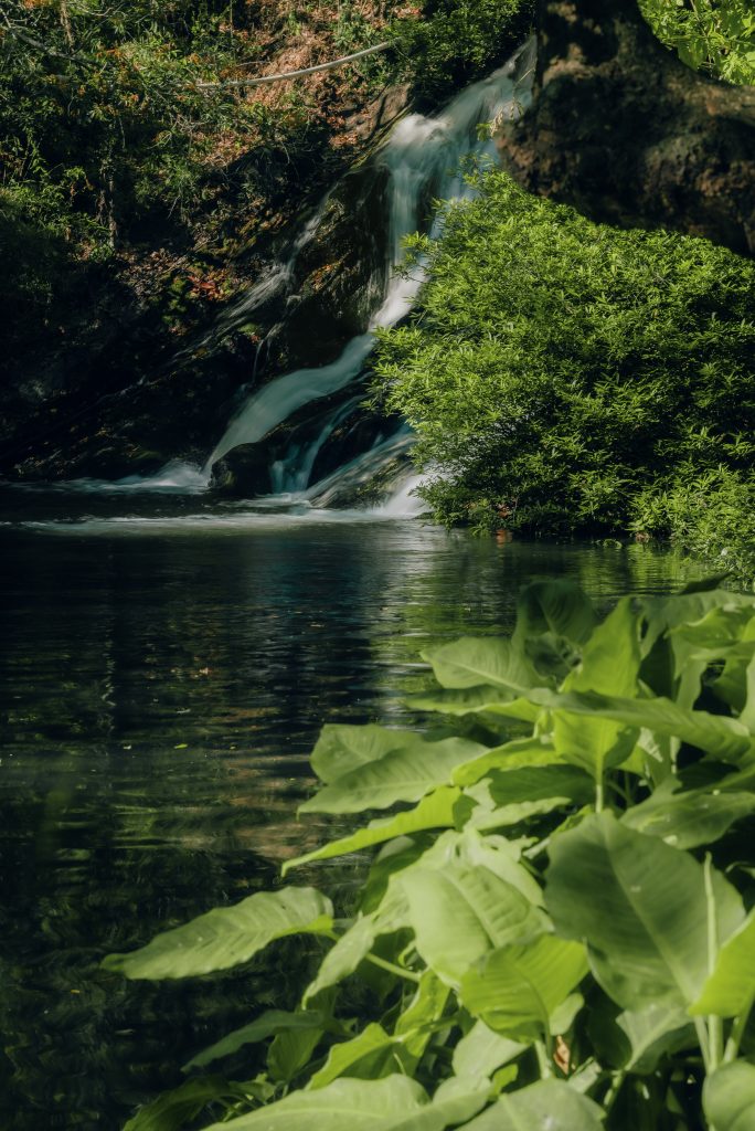 Hacienda Gauchipelin Catarata Las Chorreras
