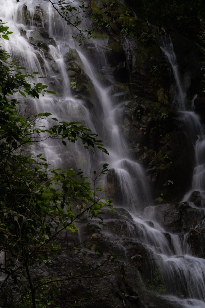 Seasonal Waterfall in Ricon De La Vieja National Park