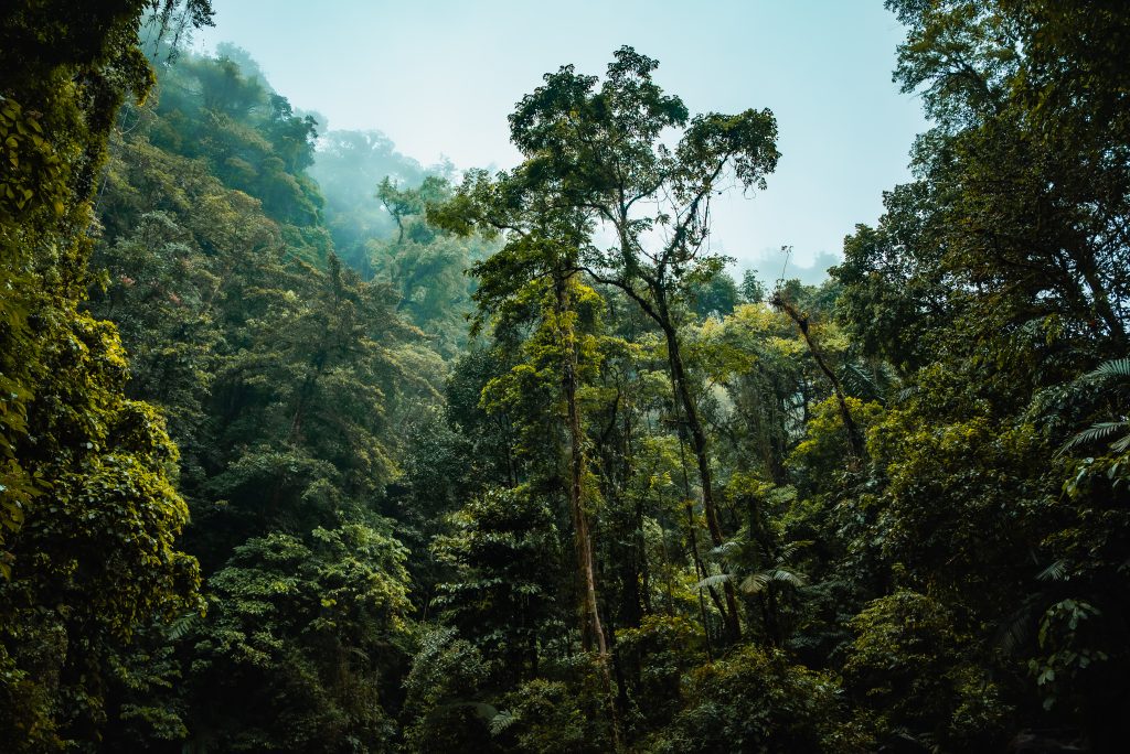 La Fortuna Waterfall 
